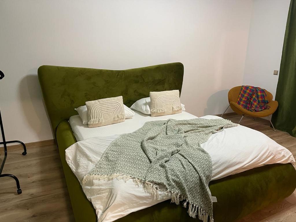 Magic Green Studio Hunedoara Apartment Luaran gambar