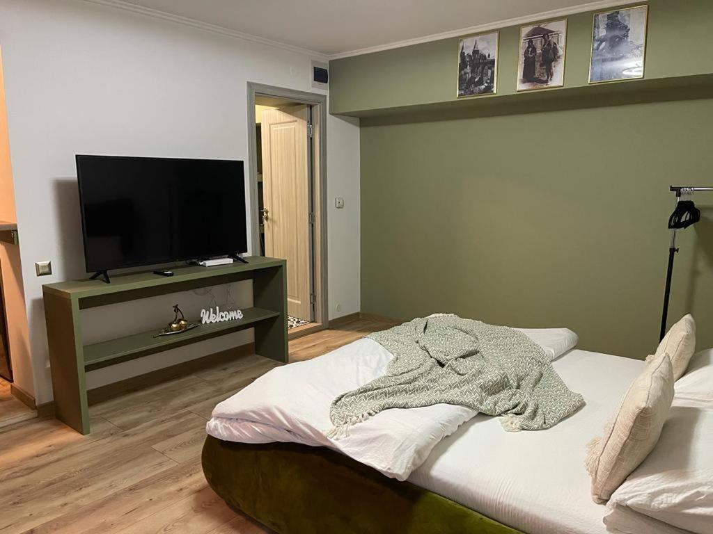 Magic Green Studio Hunedoara Apartment Luaran gambar