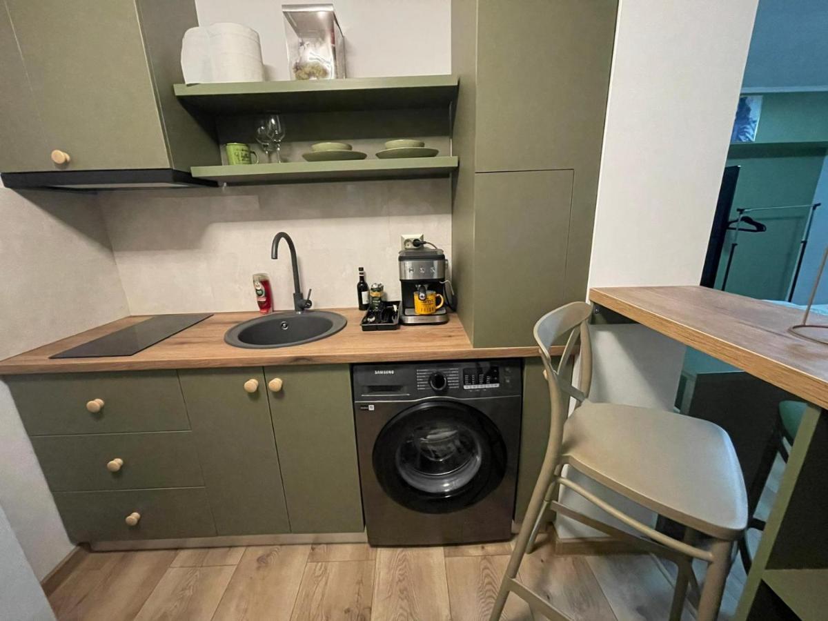 Magic Green Studio Hunedoara Apartment Luaran gambar